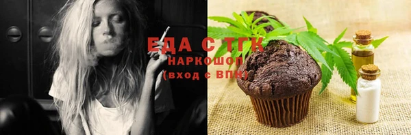 индика Краснослободск