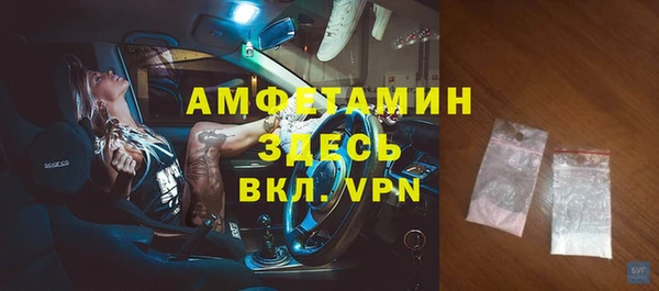 индика Краснослободск