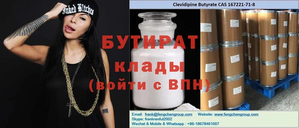 индика Краснослободск