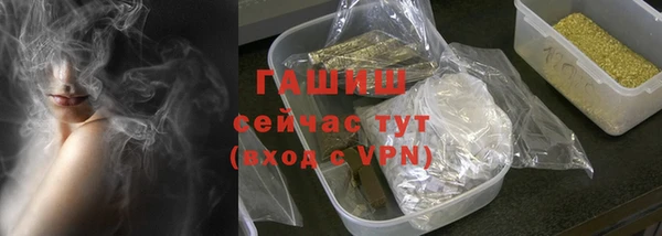 индика Краснослободск