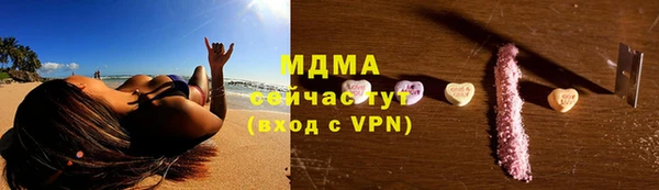 индика Краснослободск