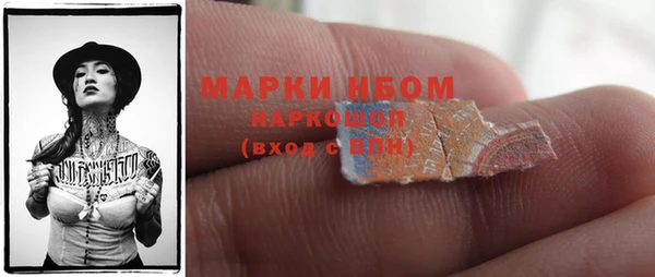 индика Краснослободск