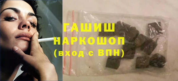 индика Краснослободск