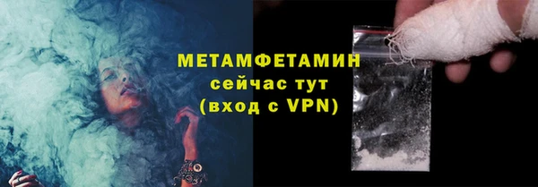индика Краснослободск