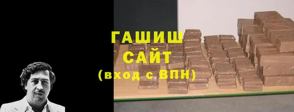 индика Краснослободск