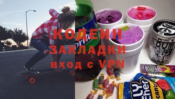 индика Краснослободск