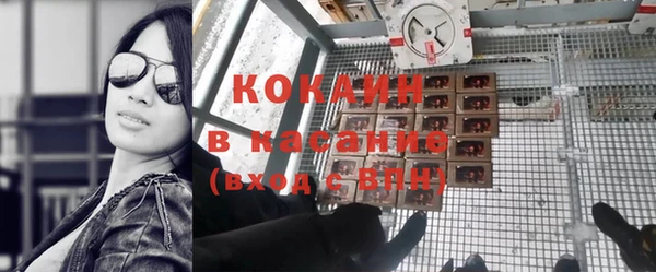 индика Краснослободск