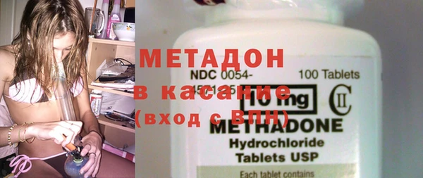 индика Краснослободск