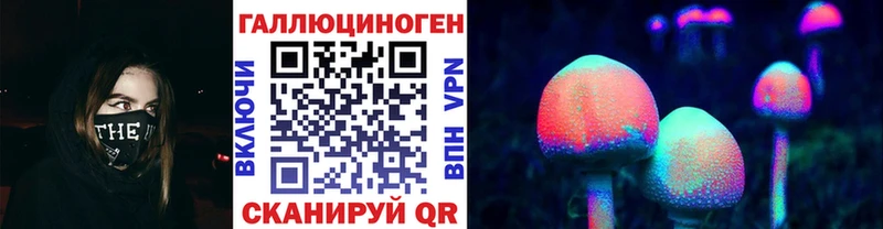darknet какой сайт  Циолковский  Псилоцибиновые грибы мицелий 